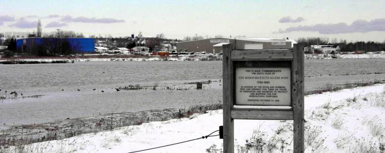 Fifteen minutes before high tide, on 5 December 2002