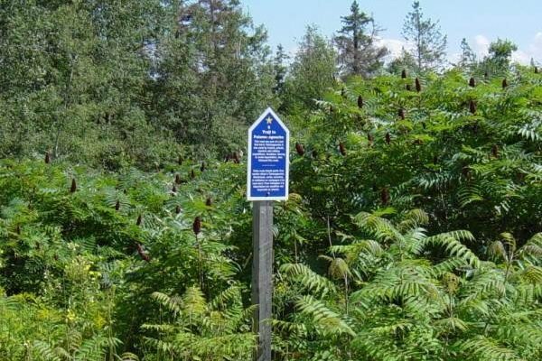 Colchester County: Acadian Heritage sign #9, Belmont -2