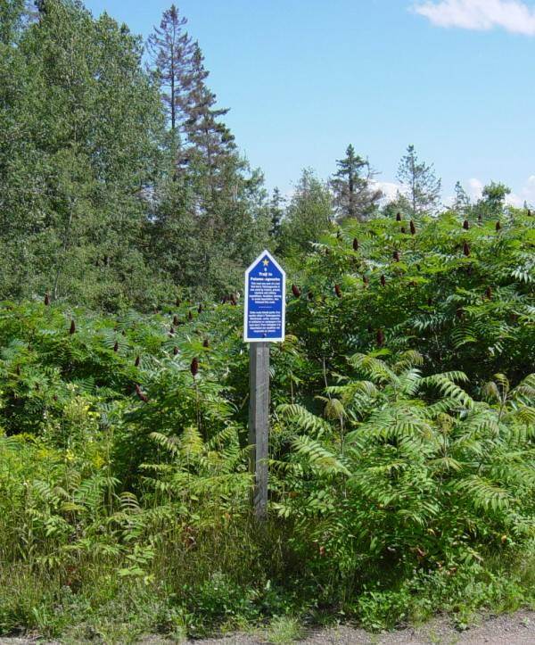 Colchester County: Acadian Heritage sign #9, Belmont -2