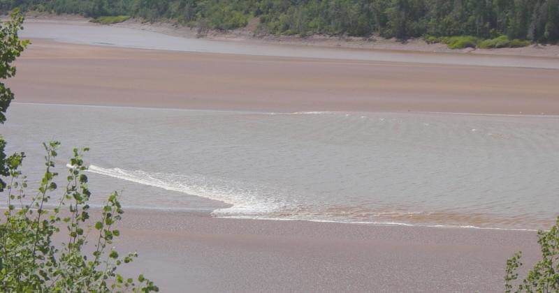 Colchester County: tidal bore at Caddell Rapids, Shubenacadie River