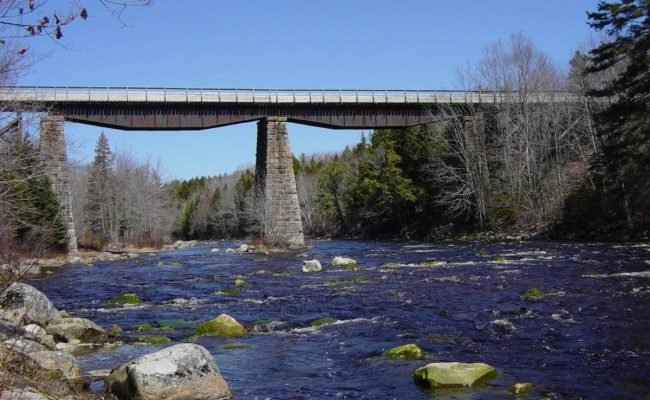 Gold River Bridge, with deck and handrail by Military Engineers -8