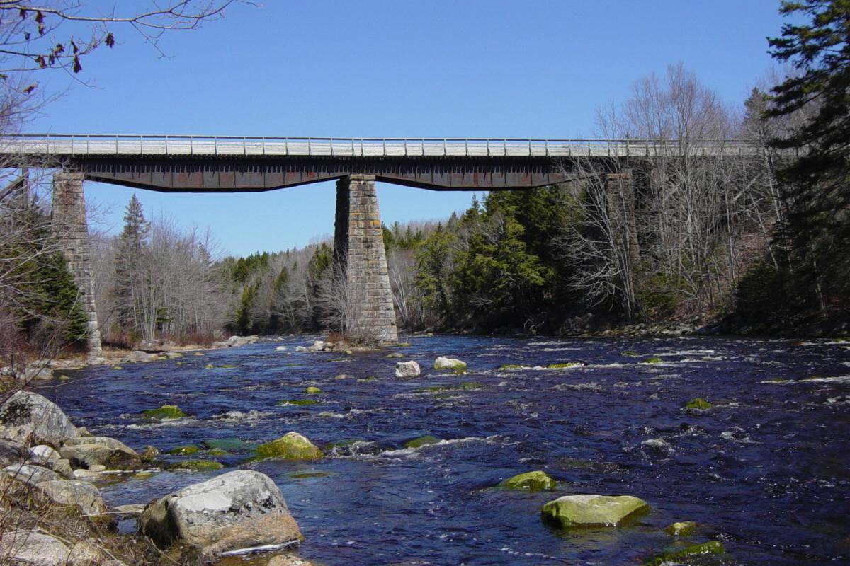 Gold River Bridge, with deck and handrail by Military Engineers -8