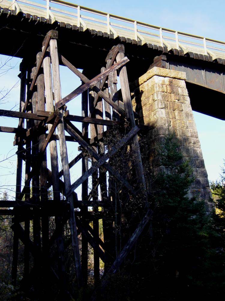 Gold River Bridge with new deck and handrail by Military Engineers