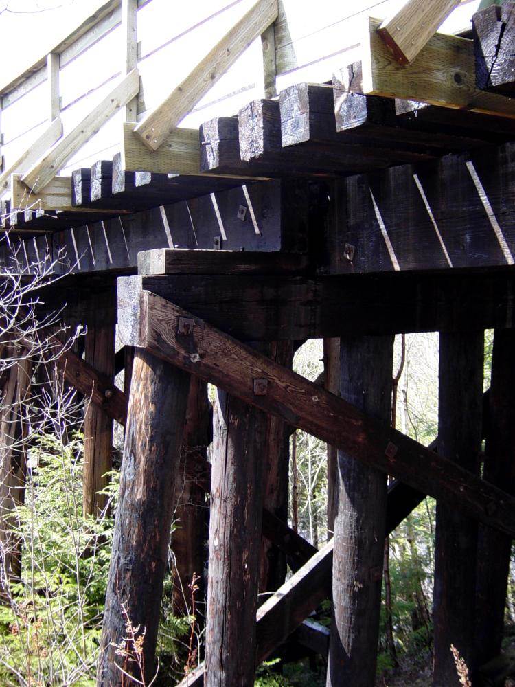 Gold River Bridge with new deck and handrail by Military Engineers