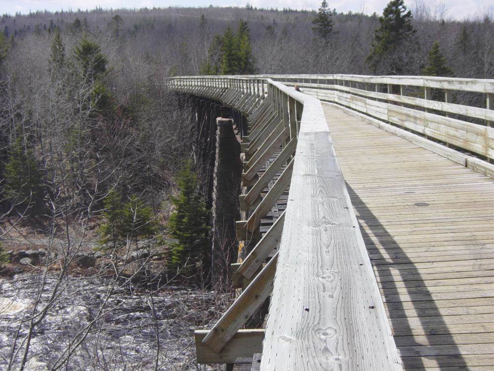 Gold River Bridge with new deck and handrail by Military Engineers