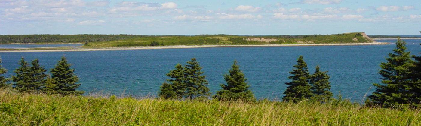 Grassy Island as seen from Canso