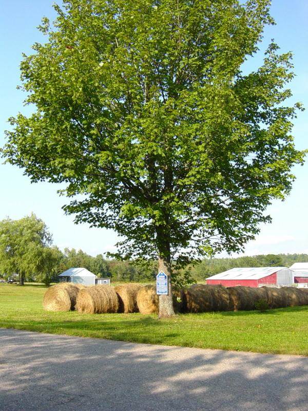 Hants County: Acadian Heritage sign #13, Sweets Corner