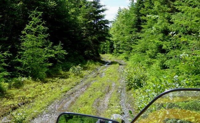 Country Harbour: Loyalist Trail to waterside monument -21