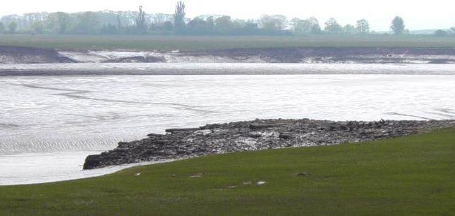 Remains of the old wharf at Horton Landing -22