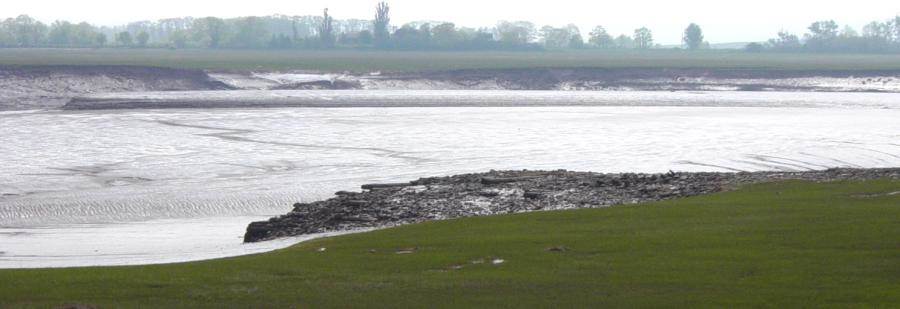 Remains of the old wharf at Horton Landing -22