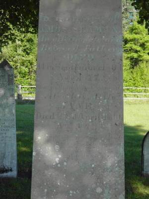 Minudie: Amos Peck Seaman tombstone