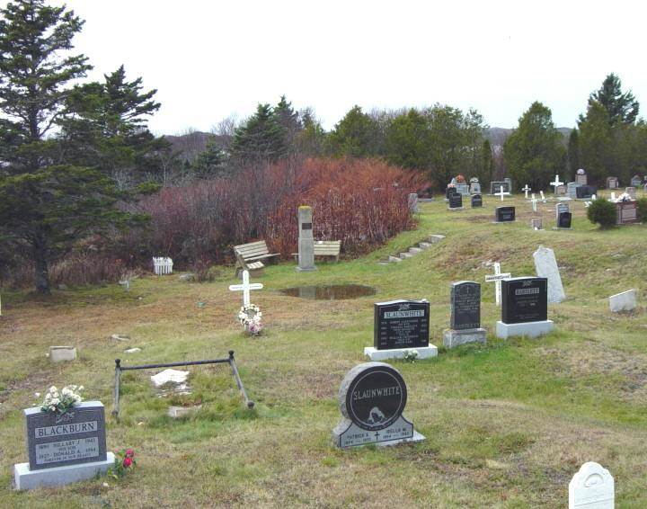 S.S. Atlantic memorial, Lower Prospect: general view looking west